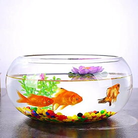 金魚鉢 丸型金魚鉢 ガラス 透明 テーブル アクアリウム ボウル 観葉植物 大容量 おしゃれ インテリア 容器 オブジェ テラリウム 花瓶 フラワーベース