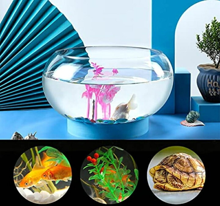 楽天市場】金魚鉢 丸型金魚鉢 ガラス 透明 テーブル アクアリウム 