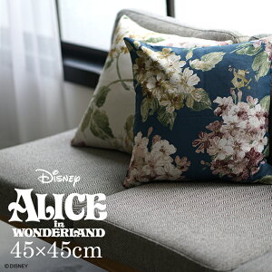 NbVJo[  ALICE AX AWTC 45×45cm fBYj[ Disney6 ӂ̍̃AX u[ AC{[ Jo[Pił̔̔ X~mG Disneyzone