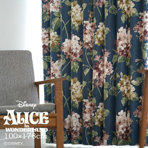 J[e Ռ ALICE/AX AWTC 100×178cm 1fBYj[ Disney6 svc̍̃AX`FVL ETM VGbg ՌJ[e l炵  rO X~mG { 