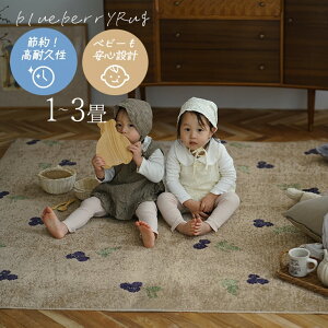 `[tO u[x[ 90×130cm 130×185cm 185×185cm 185×240cm cucan[NS]  O 􂦂 3 k O  ؍ t[c I[V[Y gΉ { ~ O ` y