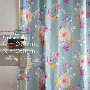 Disney I[_[J[e[n] fBYj[ij101`200cm×ij201`260cmDisney J[e I[_[  킢 ~bL[ ~j[ ܂̃v[ vZX AG [F10
