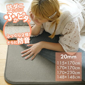 h ӂӂ~p O ӂ҂PLUS[] 115×170cm 170×170cm 170cm×230cm 148×148cm ~` 1K [擾 6369846] Zp[gO X~mG O ~ O}bg J[ybg O ~` 