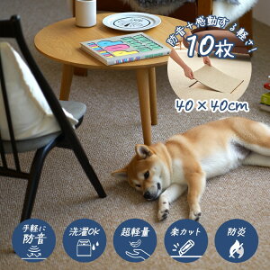 h h 􂦂 ^CJ[ybg t[[v 40×40cm 10 cucan 25AW @OK u ڒܕsv OK 􂦂 J[ybg WCg}bg O xr[ ybg  k 