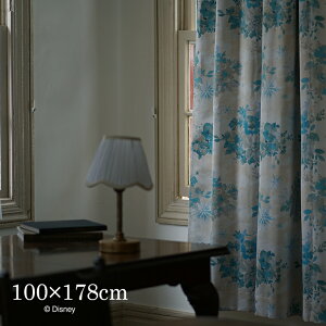 [P10{ 12/9 23:59] ՌJ[e FROZEN/ACXu[ 100×178cm 1Disney11AiƐ̏ Ai GT Ai  fBYj[ Disney { ՌJ[e 􂦂 `L rO q