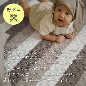 􂦂郉O RgXgXgCvO 130×185cm 185×185cm 185×240cm cucan[NS] O k ݃J[  O}bg O  I[V[Y 3 O[ uE H~ { O 