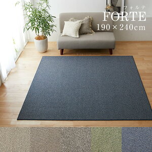 ���O �t�H���e 190×240cmBIG9������~�� �h�_�j �A�����u���b�N ���g�[�Ή� �ϔM �V���M�[ �ӂ�ӂ� ������� �x�[�W�� �O���[ �s���N �l�C�r�[ ���{�����O ���O�}�b�g �J�[�y�b�g �X�~�m�G 190 2