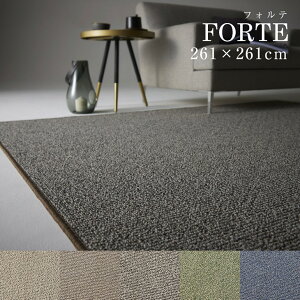 �y50��OFF�N�[�|���Ώہz �J�[�y�b�g �t�H���e 261×261cmBIG9������~�� �h�_�j �A�����u���b�N ���g�[�Ή� �ϔM �V���M�[ �ӂ�ӂ� ������� �x�[�W�� �O���[ �s���N �l�C�r�[ ���{�����O ���O