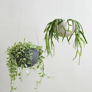 鉢植え ハンギング プランターの人気商品 通販 価格比較 価格 Com