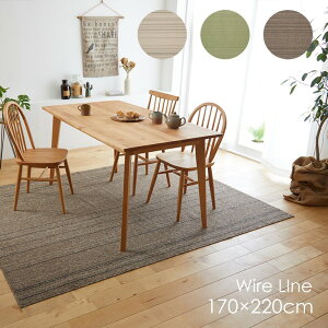 ې􂢂ł O C[C 170×220cm20AW􂦂 ~ g[EzbgJ[ybgΉ ϔM k i` n AC{[ O[ uE {O O}bg J[y