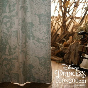 �Ռ� �J�[�e�� PRINCESS/Heigh-Ho �n�C�z�[ 100×200cm 1����Disney9������P �f�B�Y�j�[�v�����Z�X ������� �ԕ� �t�����[ �{�^�j�J�� ���{�� �Ռ��J�[�e�� �􂦂� �ԕ� �s���N ���C�g�u���[ ���r���O