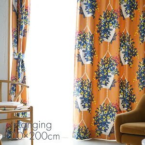 k Ռ J[e HANGING/nMO 100×200cm 1DL13{ ՌJ[e @ok 􂦂 Ռ `L k J[e X~mG IW x[W k  ԕ {^jJ 