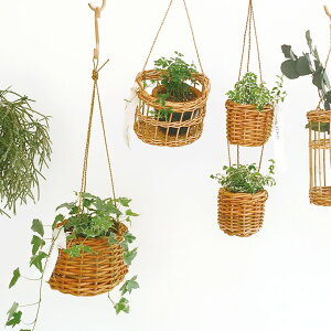 NG Jo[ AO艺 B a20×13cm uE x[W  O[CeA THCR24SSNG[J[iydꏤî߃N[|ΏۊOz