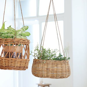 NG Jo[ AO 艺 I[o uE x[W ^  O[CeA THCR24SSNG[J[iydꏤî߃N[|ΏۊOz