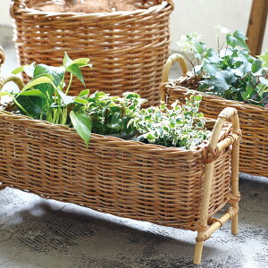 NG v^[X^h O S AO uE x[W ^  O[CeA Aؔ THCR24SSNG[J[iydꏤî߃N[|ΏۊOz