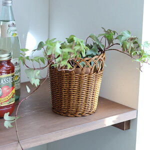 NG |bg eB t[ M uE x[W  O[CeA Aؔ THCR24SSNG[J[iydꏤî߃N[|ΏۊOz