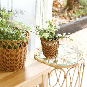 NG |bg eB t[ L uE x[W  O[CeA Aؔ THCR24SSNG[J[iydꏤî߃N[|ΏۊOz