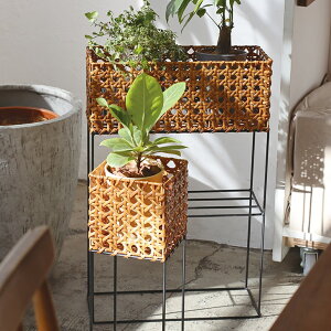 NG |bgX^h S eBIN^ uE x[W  O[CeA Aؔ THCR24SSNG[J[iydꏤî߃N[|ΏۊOz