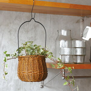 NG oXPbg eB ACAnh|bg S 􂦂 uE x[W  O[CeA THCR24SSNG[J[iydꏤî߃N[|ΏۊOz