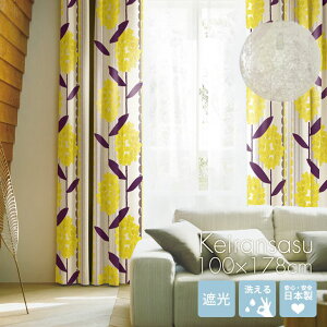 k ՌJ[e PCTX 100×178cm 1 DL7 kfUC CG[ sN l炵 rO X~mG ԕ w{[̃XgCv C[W[I[_[ 