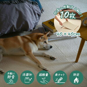 h h 􂦂 ^CJ[ybg \tgtB[ 40×40cm 10 cucan 25AW @OK u ڒܕsv OK 􂦂 J[ybg WCg}bg O xr[ ybg  k 