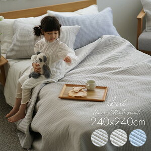 Cu  LeBO}bg XgCv  240×240cm cucanMILKHOME }`Jo[  k Cu Lg }bg `  pڂȂ 􂦂  O ې Ԃ xr[ Rbg