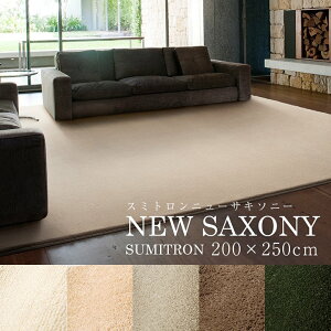 O X~gj[TL\j[ 200×250cm BIG7x i`ȐFꂢȃOBS̋@\[ ~߁ALAhAϔMAh_jdl J[ybg X~mG l炵 O 