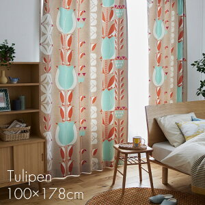 �k�� �Ռ� �J�[�e�� �`���[���b�y�� 100×178cm 1����DL14���k�� ������� ���g�� �ԕ� �`���[���b�v �y���M�� �؍��C���e���A ���{�� �Ռ��J�[�e�� �􂦂� �`��L�� �I�����W �O���[ ���r���O ��