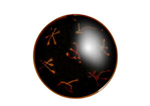 100~OFFN[|Ώ ݌Ɍ q  R  E-7 Nb`[iz[ q q   јq ђq    H aH  g { Y H