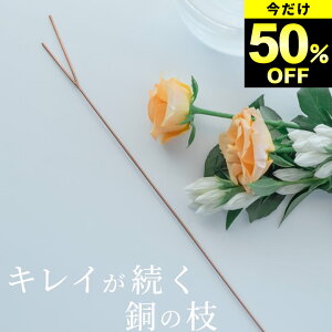 50%OFF ԕr    ̃t[CtXeBbN L Nb`[iz[ ԕr    R ؂   L[v  t[x[X ֑} ԑ k   킢