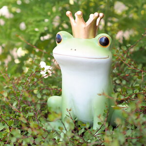 ݌Ɍ K[f  JG Copeau R|[ Nb`[i JG ObY u  G  l ql v[g Mtg 