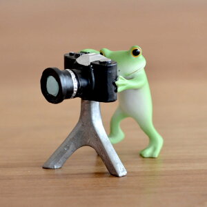 カエルの置物 置物 オブジェ 通販 価格比較 価格 Com