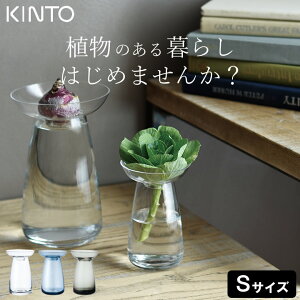 ԕr KX ANAJ`[x[X AQUA CULTURE VASE STCY 80mm kinto Lg[ Nb`[i t[x[X Ԋ ֑}  킢 k͔| ͔| ϗtA T{e A n[