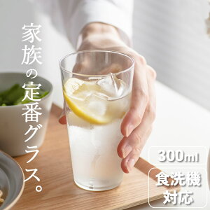 KX Rbv el ^u[10 L-6648 Nb`[i KX Rbv OX  qp OX AfA 300ml 傫 ^u[ Rbv ig  KX Rbv  KX Rbv 
