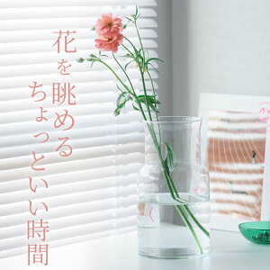 ԕr 傫 [YKX t[x[X lbN 108350 Nb`[i  ԕr t[x[X t[x[X } t[x[X KX hCt[ ԕr t[x[X } 