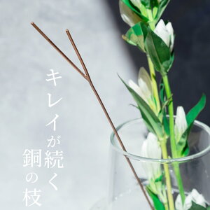 100~OFFN[|Ώ ԕr    ̃t[CtXeBbN L Nb`[i ԕr    R ؂   L[v  t[x[X ֑} ԑ k   