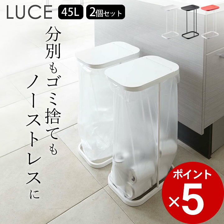 C1010 2分別ゴミ箱 45L 2個セット