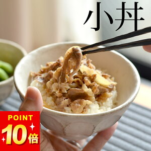 3点で9%OFFクーポン対象 どんぶり 小 リンカ 白練 小丼 カネコ小兵 クッチーナ 丼 丼ぶり お茶碗 茶碗 ご飯茶碗 ご飯 ごはん 器 電子レンジ 食洗機対応 和食器 食器 和風 おしゃれ かわいい 美