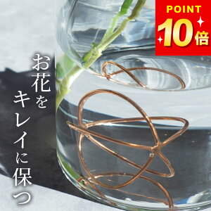 100~OFFN[|Ώ ԕr    ̃t[Ct{[ L Nb`[i ԕr    R ؂   L[v  Rbp[ {[ t[x[X ֑} ԑ k 