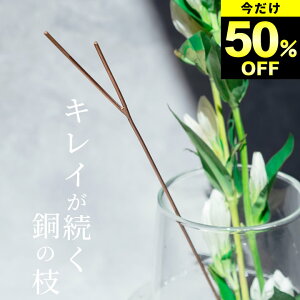 50%OFF ԕr    ̃t[CtXeBbN L Nb`[i ԕr    R ؂   L[v  t[x[X ֑} ԑ k   킢 Rb