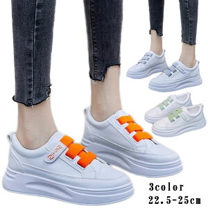  Xj[J[ Xj[J[ zCg JWA ʋ V[Y xgXj[J[ C ʊw @22.5cm`25cm d WjA fB[X