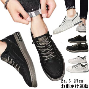 C  Xj[J[ Y ^ Vv y d@V[Y ʊw zCg ʋ JWA wZ y C Vv  X|[eB AEghA W[  o ubN