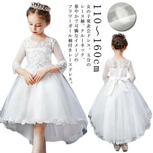 qhXtH[} sAm\ LbY WjA thX s[X 񎟉 ̎q   sAmqs[X p[eB[hX {hX ̎qhX tH[