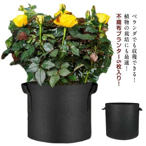 sDzv^[ Aؔ nht sDz|bg 5 񂹐A Ȃ Jo[ x_͔| ؍͔| | A͔| ƒ؉  O K[fjO z 