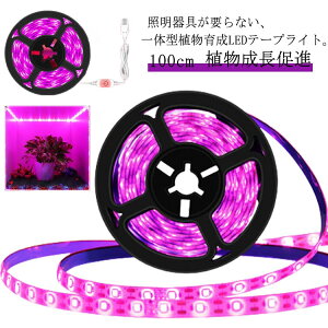 A琬Cg 1m 100cm LEDCg Ap LEDe[vCg C~l[V d ledCg d Ai  i LEDe[v A琬v ͔| s ƒ؉ |