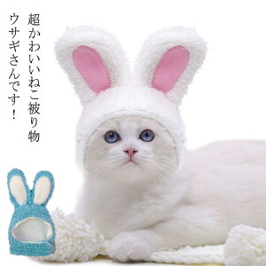   Xq 蕨 p Lp 蕨 ybgp  ϐg Ȃ肫 }WbNe[v e eN ETM 킢 t Ԃ  ^ ^ RXv 2023N N