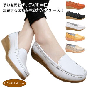 pvX [t@[ I[V[Y y fB[X V[Y 4.5cmq[ hCrOV[Y JV ₷ ɂȂ [q[ y Xb|