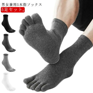 X|[c \bNX Y 5g N[ 5Zbg 5{w JWA [LO rWlX 5{w\bNX C \bNX C 5{wC ܖ{wC Y rWlX 24-26cm N[  j