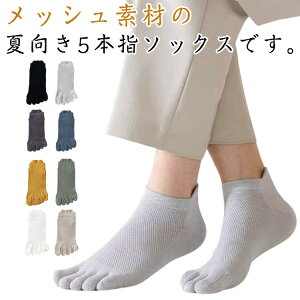 5Zbg  ܖ{w\bNX rWlX j bV   Ԃ Y  V[g\bNX Xj[J[\bNX EȂ 5{wC hL z R  WjA n