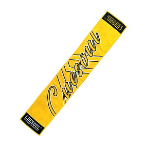 yzL[\[ CUESOUL ` ` ^I }CNt@Co[ X|[c ^I ݂艺tbNt  bh CF[ O[ p[v sN CF[ u[ ub